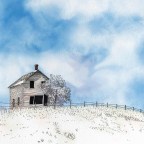 Tvoros – saugumo ir estetinio dizaino derinys jūsų kieme